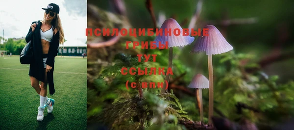 стафф Верея