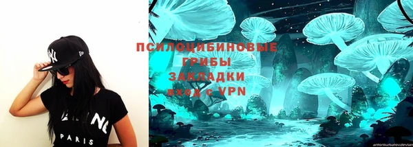 стафф Верея